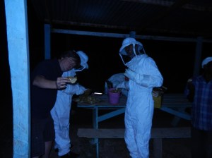 Honey from your own hive is extra good.