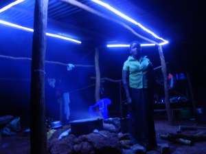 Lights in the Kitchen shelter = happy cook