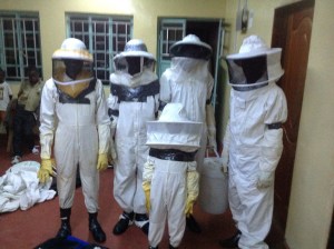 Honey theft team included 3 boys.