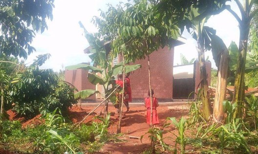 22403983_726180607575127_199721876_o