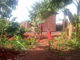 22403983_726180607575127_199721876_o