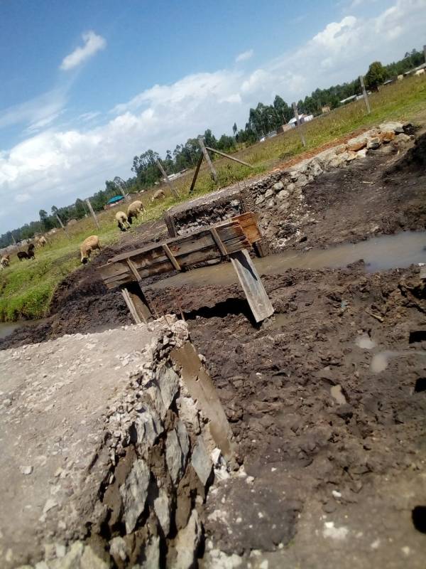 WhatsApp Image 2020-03-07 at 3.15.57 AM